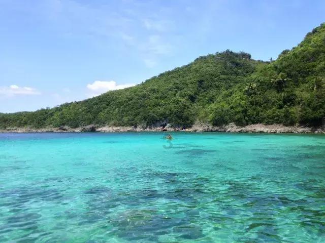 卡通考拉救援